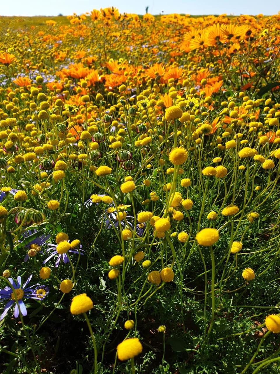 Namaqualand Eco Lodge Soebatsfontein Экстерьер фото
