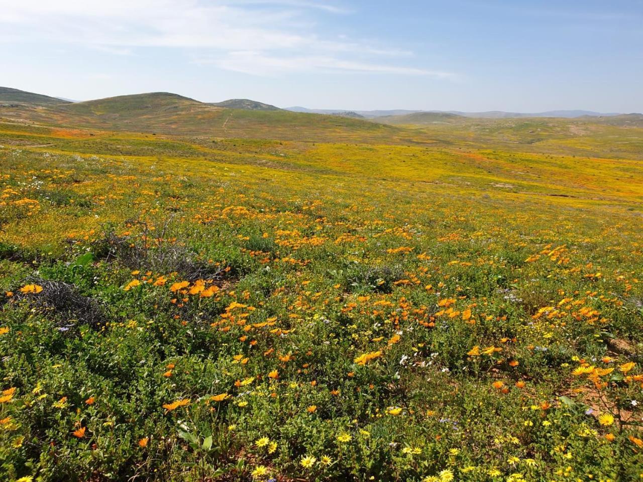 Namaqualand Eco Lodge Soebatsfontein Экстерьер фото